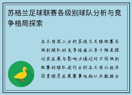 苏格兰足球联赛各级别球队分析与竞争格局探索